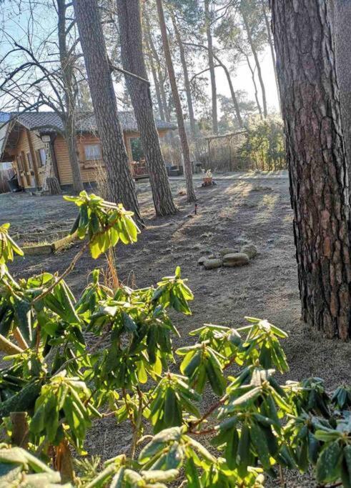 Вилла Haus Clemens - Gemuetliches Holzhaus Mit Grundstueck Кёнигс-Вустерхаузен Экстерьер фото
