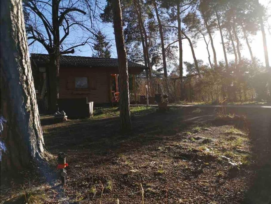 Вилла Haus Clemens - Gemuetliches Holzhaus Mit Grundstueck Кёнигс-Вустерхаузен Экстерьер фото