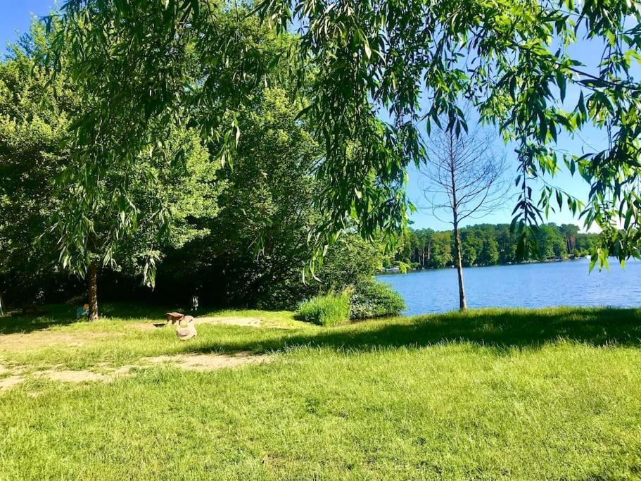 Вилла Haus Clemens - Gemuetliches Holzhaus Mit Grundstueck Кёнигс-Вустерхаузен Экстерьер фото