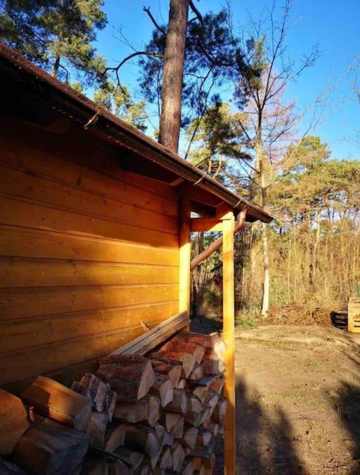 Вилла Haus Clemens - Gemuetliches Holzhaus Mit Grundstueck Кёнигс-Вустерхаузен Экстерьер фото